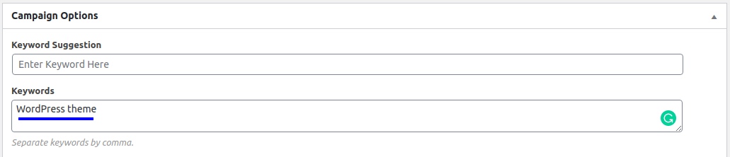 Campaign Options - Input Your Keyword